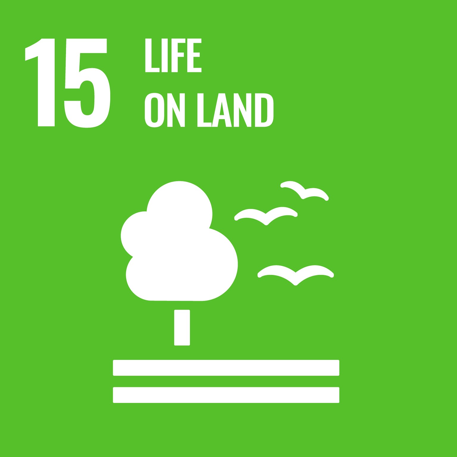 Our Sustainability goals relate to SDG 15 Life on Land