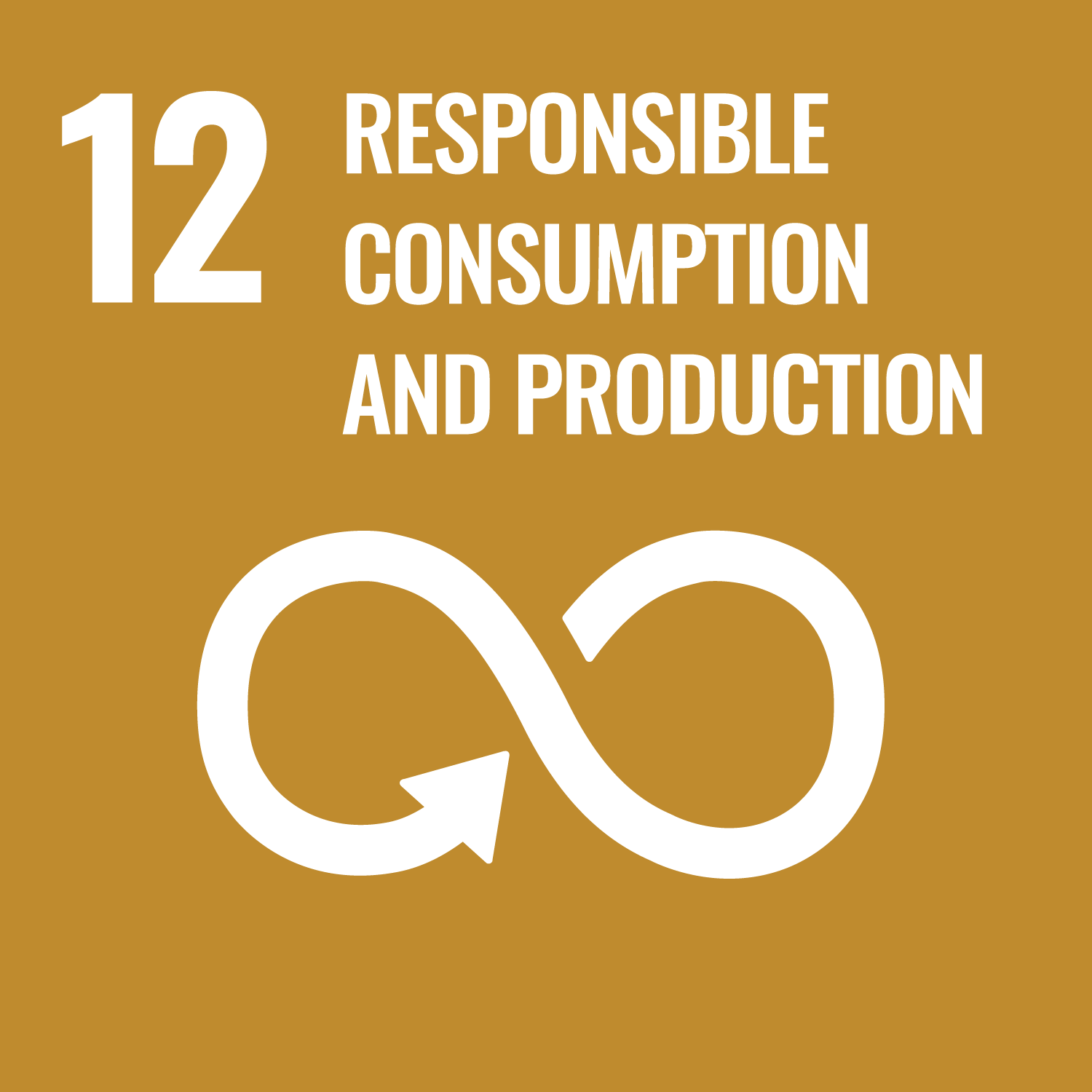 Our Sustainability goals relate to SDG 12 Responsible Consumption and Production