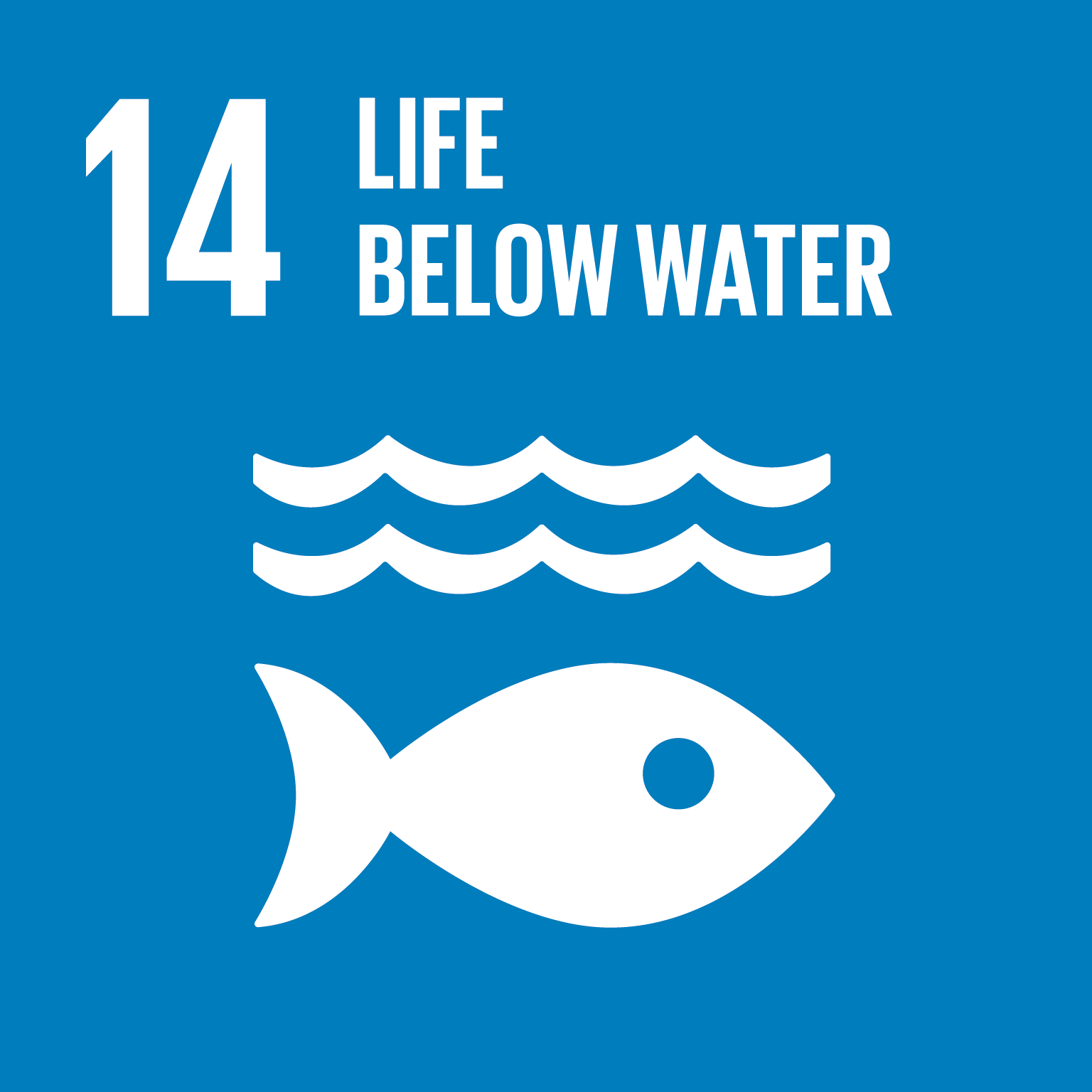 Our Sustainability goals relate to SDG 14 Life below Water